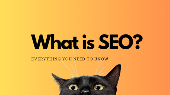 What is SEO? Search Engine Optimization in a NuttsShell