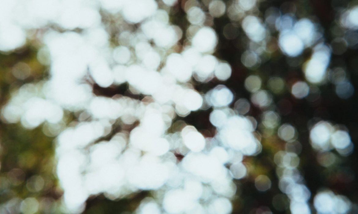 test test portfolio