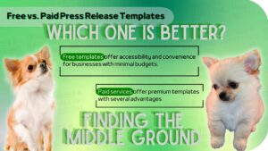 press release examples